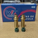 Imagen 2