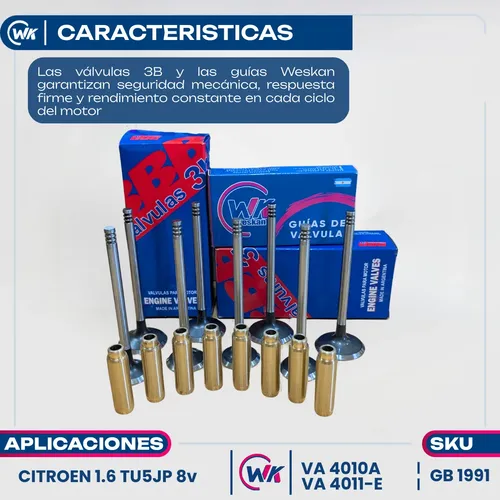 Imagen 2