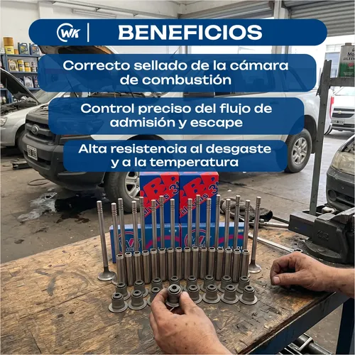 Imagen 2