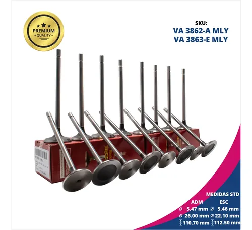 Imagen 2