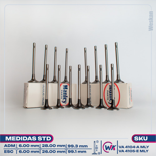 Imagen 2