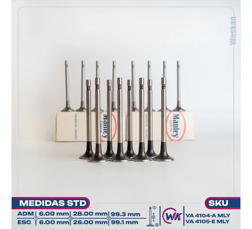 Imagen 2