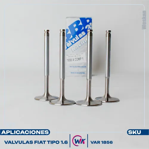 Imagen 3