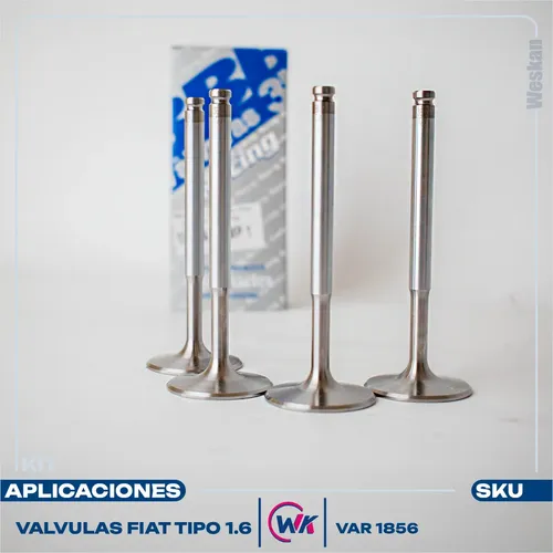 Imagen 4