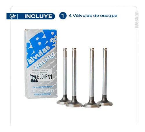 Imagen 2