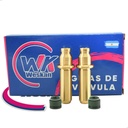 Guias De Válvulas Honda Xr 250 Ø 5.50 Bronce X2 + Reten