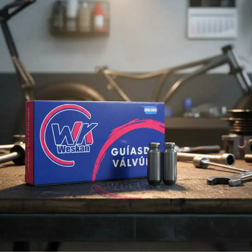 Guias De Válvulas Susuki Bandit 400 - Fundicion X Juego