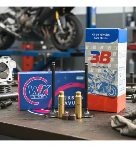 Kit Válvulas + Guías Honda Cg Titan 150 / Xr 150l 3b Bronce
