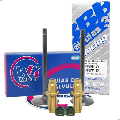 Kit Valvula + Guías  Bronce Skua 200 / Xplora 250 + Retenes