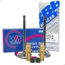 Kit Valvula + Guías  Bronce Skua 200 / Xplora 250 + Retenes