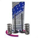 Kit Valvulas Racing Cg Titan 150 + Resortes Mpi