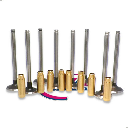 Valvulas 3b + Guias Bronce Renault R19 / Clio 1.9 Diesel X8