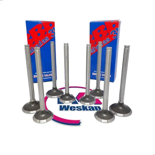 Válvulas 3b Citroen Berlingo / Xsara Motor 1.9 Dw8 - Xud9
