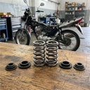 Resortes Valvula Mpi Cg Honda Titan 150 New + Platillos