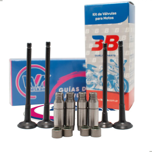 Kit Guia Fundicion + Válvula Bajaj Rouser Ns 135 + Reten