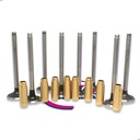 Valvulas 3b + Guias Bronce Renault R19 / Clio 1.9 F8q Diesel