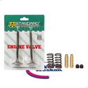 Valvula Wstd + Guía Bronce Honda Cg Titan 150 + Resorte Mpi