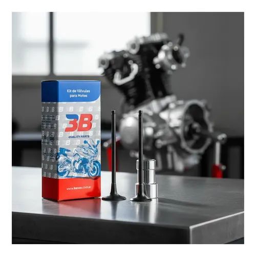 Valvula 3b Motomel Megelli 250