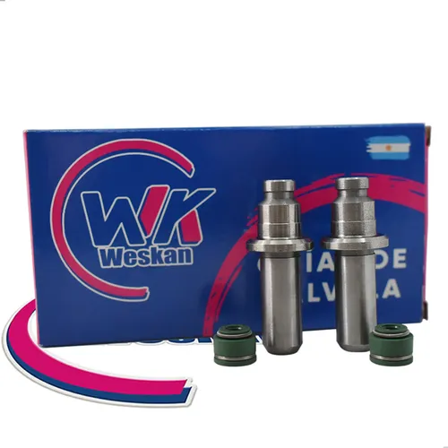 Guía De Válvula Motomel Skua 150 / S2 150 Fundición + Reten