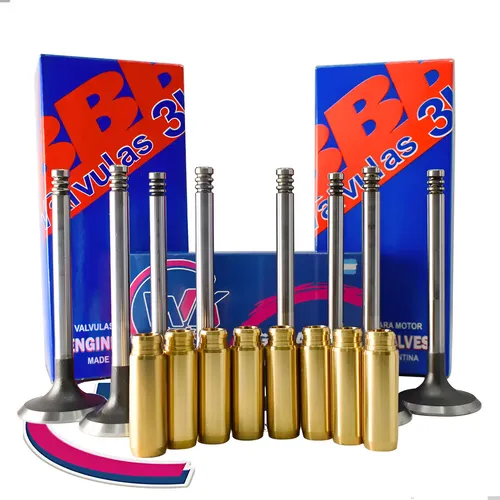 Valvula Renault Laguna Megane Scenic 1.9 F9q + Guias Bronce