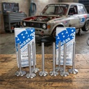 Valvula 3b Racing Fiat 128 / 147 1.1 - 1.3 Adm 36 - Esc 31