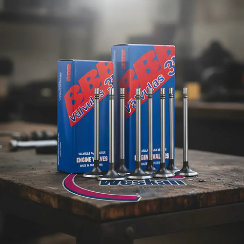 Juego Valvula Ford Fiesta / Ecosport 1.4 Motor Dv4 8v