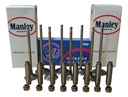Kit Guia + Valvula Fiat Siena / Palio Nuevo Evo 1.4 8v + Ret