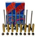 Kit Valvula Fiat Siena / Palio Fire Evo 1.4 8v + Guia + Ret