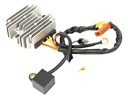Regulador De Voltaje Trifasico Bajaj Rouser Ns 200 Wstd