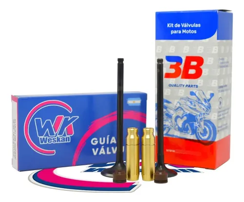 Kit Guia Bronce + Válvula 3b Susuki Dr 250 S / 350 S + Reten