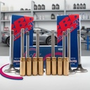 Kit Guia Bronce + Valvula 8mm Vw Gol 1.6 Audi 1.8 8v Mot. Ap