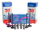 Valvula Gilera G1 250 / Motomel Keller Mx 250 260 + Guias Wk
