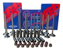 Kit Valvula 3b Chery Tiggo 2.0 16v + Guias + Retenes