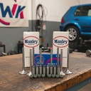 Kit Valvula Volkswagen Vento Passat Golf 1.9 + Guias + Reten