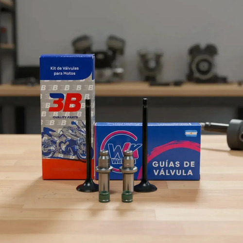 Kit Valvula Zanella Zr 150 + Guias Fundicion + Retenes