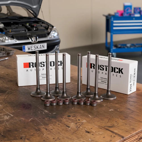 Jgo Válvula Citroen Xsara Berlingo 1.9 Motor Dw8 Xud9 + Ret