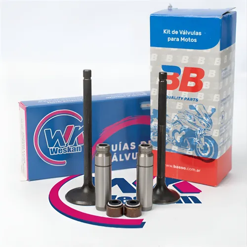 [MLA2059794022] Valvula 3b Yamaha Xt 225 / Xtz / Ybr 250 + Guia Fund + Reten