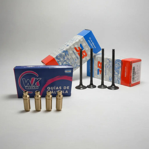 [MLA2788174848] Kit Valvula 3b Honda Cb Twister 250 New + Guias Bronce Wk X4